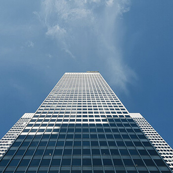 Case study: jak kancelarie pomogły klientom wdrożyć wymagania EUDR